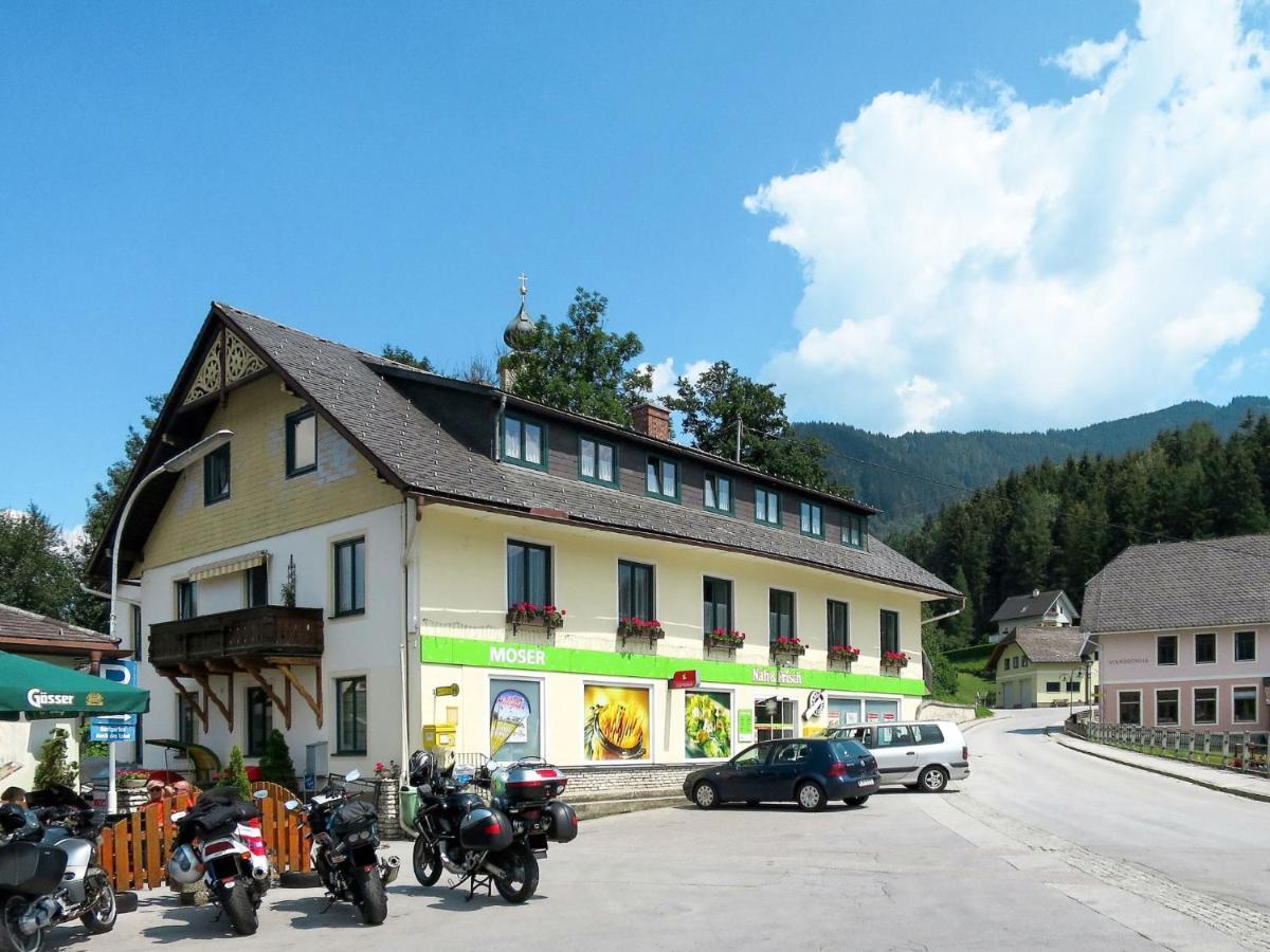Apartment Moser - Sts270 By Interhome Stein an der Enns Exterior photo